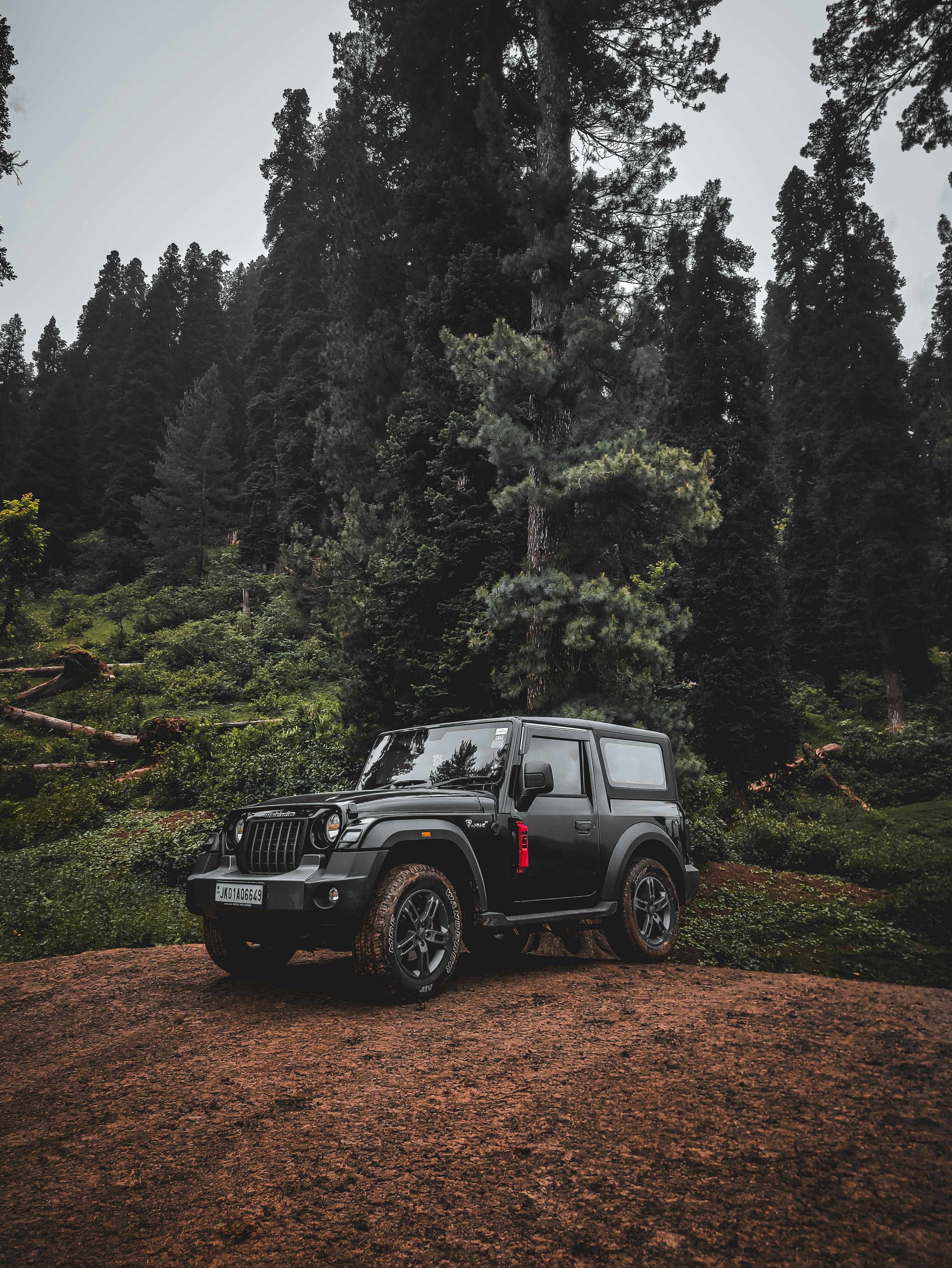 Black Jeep Wrangler on Dirt Road Surrounded by Green Trees · Free Stock  Photo