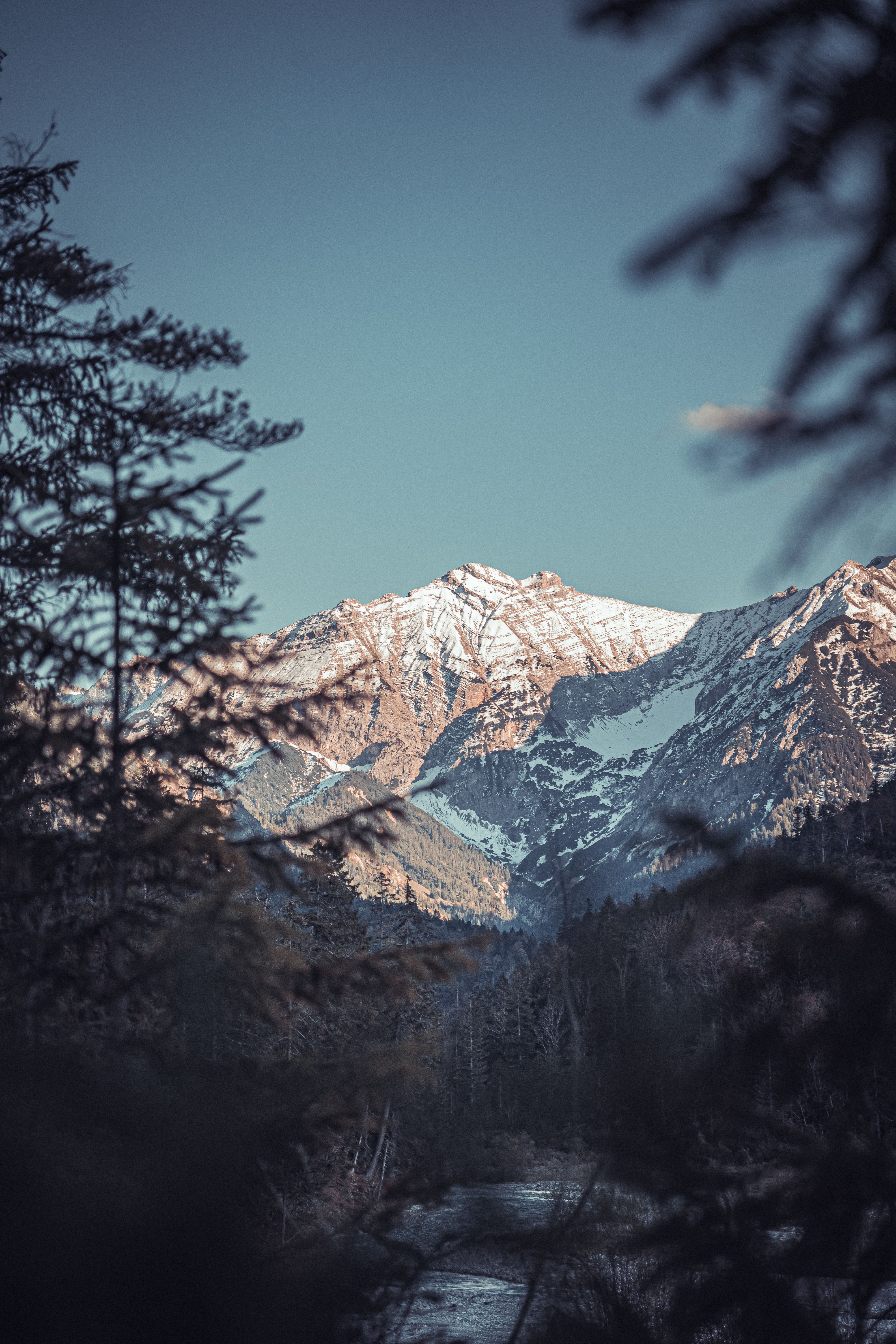 Stunning view of Kaprun's snow-capped Alps framed by evergreen trees, showcasing serene mountain beauty.