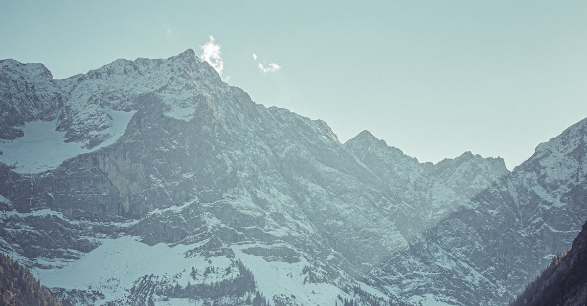 How to find angle of elevation trigonometry