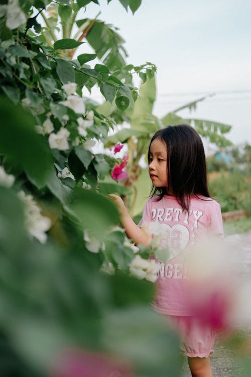 무료 나뭇잎, 보고있는, 소녀의 무료 스톡 사진