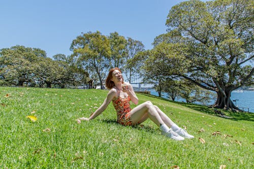 Gratis stockfoto met blanke vrouw, blij, bomen