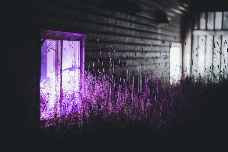 Photo Of A Wooden House With Violet Illuminated Window At Night