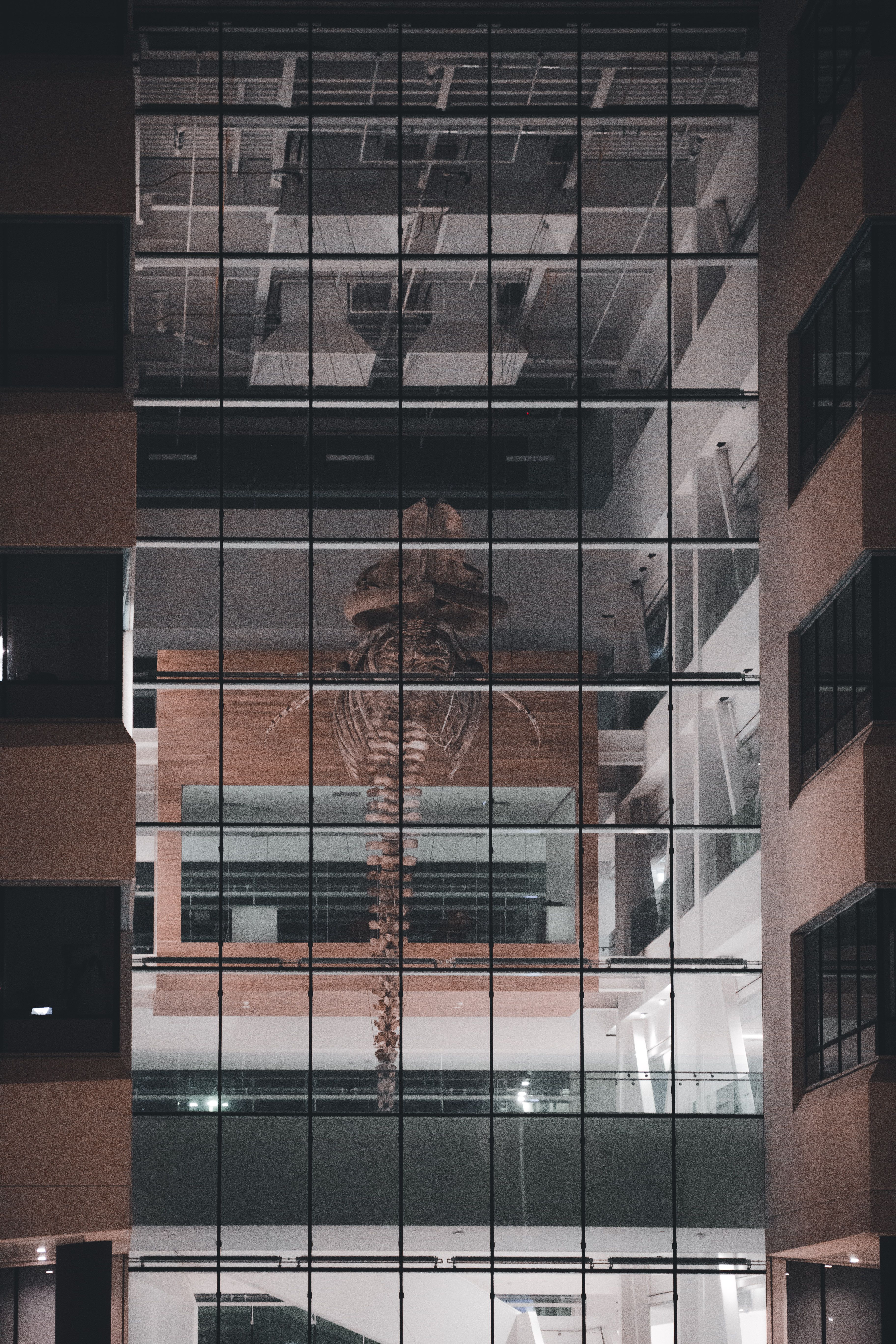 Exterior of a Building · Free Stock Photo