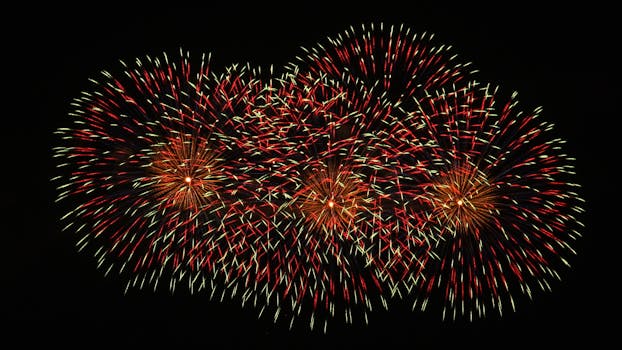 Explore the vivid fireworks display lighting up the night sky with bright colors.