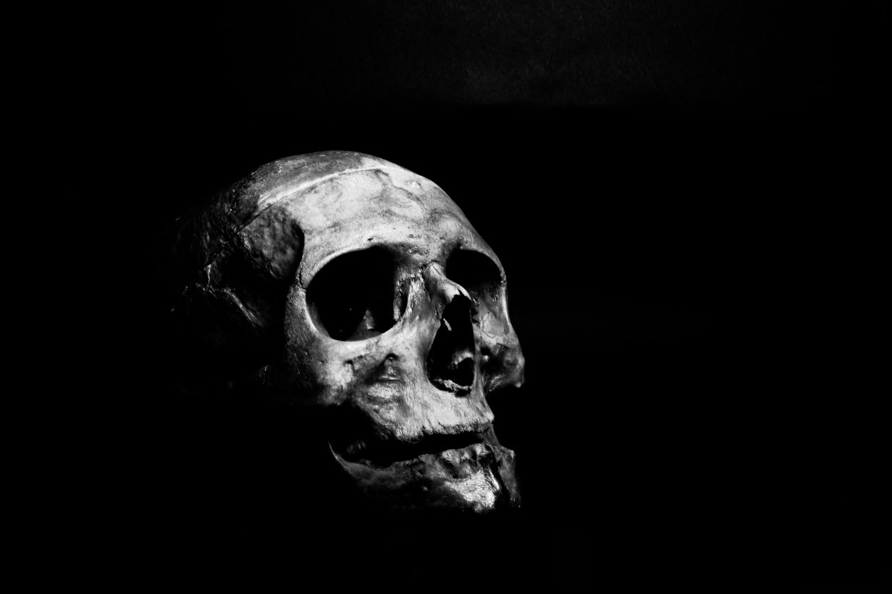 moody black and white photo of a skull on a dark background