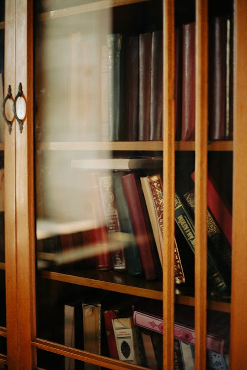 Books on Bookshelves