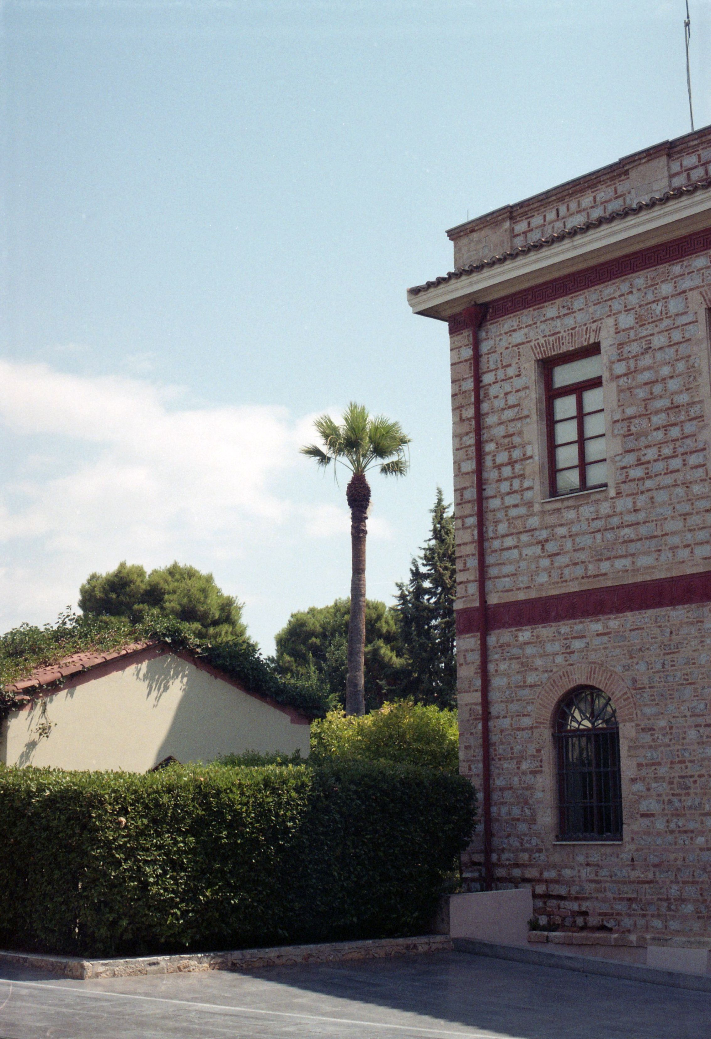 Vintage architecture with a palm tree in sunny Athens, Greece.