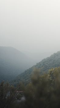 A serene foggy morning landscape view in India's lush green mountains, capturing tranquility.