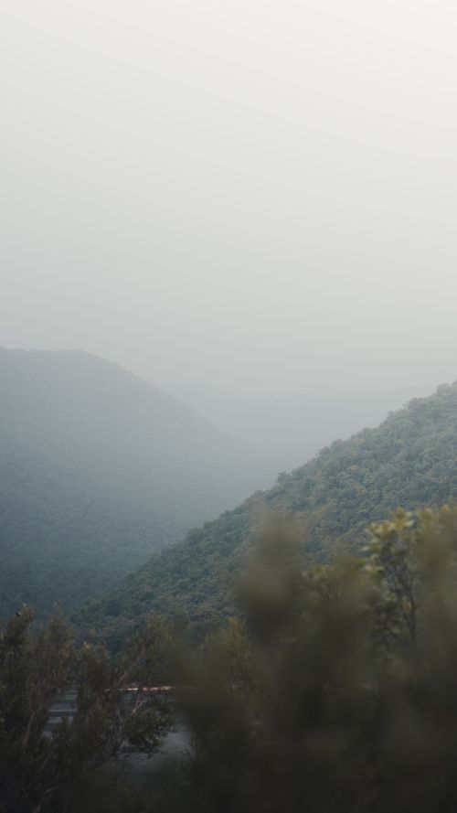 Foggy morning over lush green terrain — Robin Kumar Biswal on Pexels