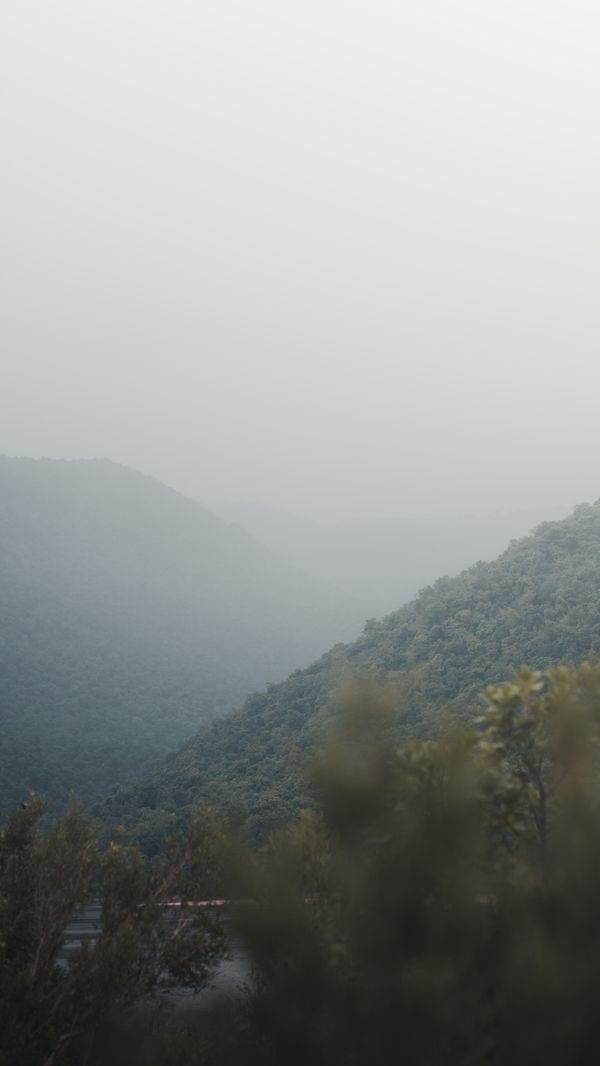 Landscape from the Wilds collection — photo by Robin Kumar Biswal on Pexels