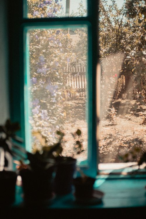 Free View of garden plants and sunlight through a rustic window. Stock Photo