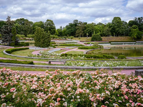 Photo of a Urban Park with Flowers and a Pond