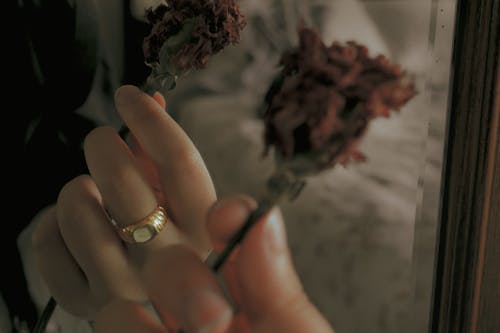 Close up of a Person Holding a Flower