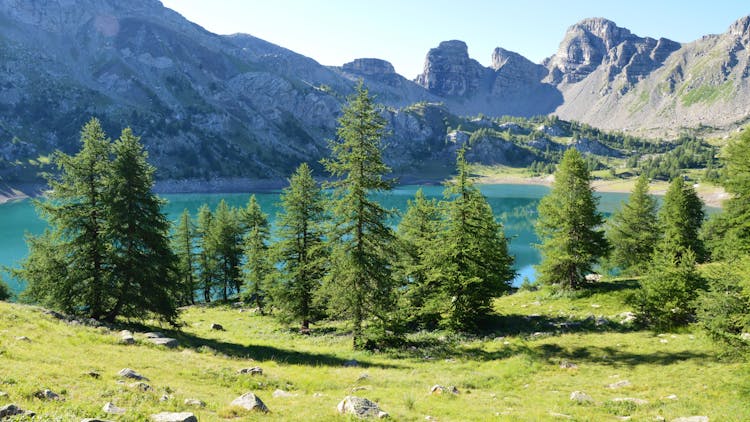 A Lake In Mountains