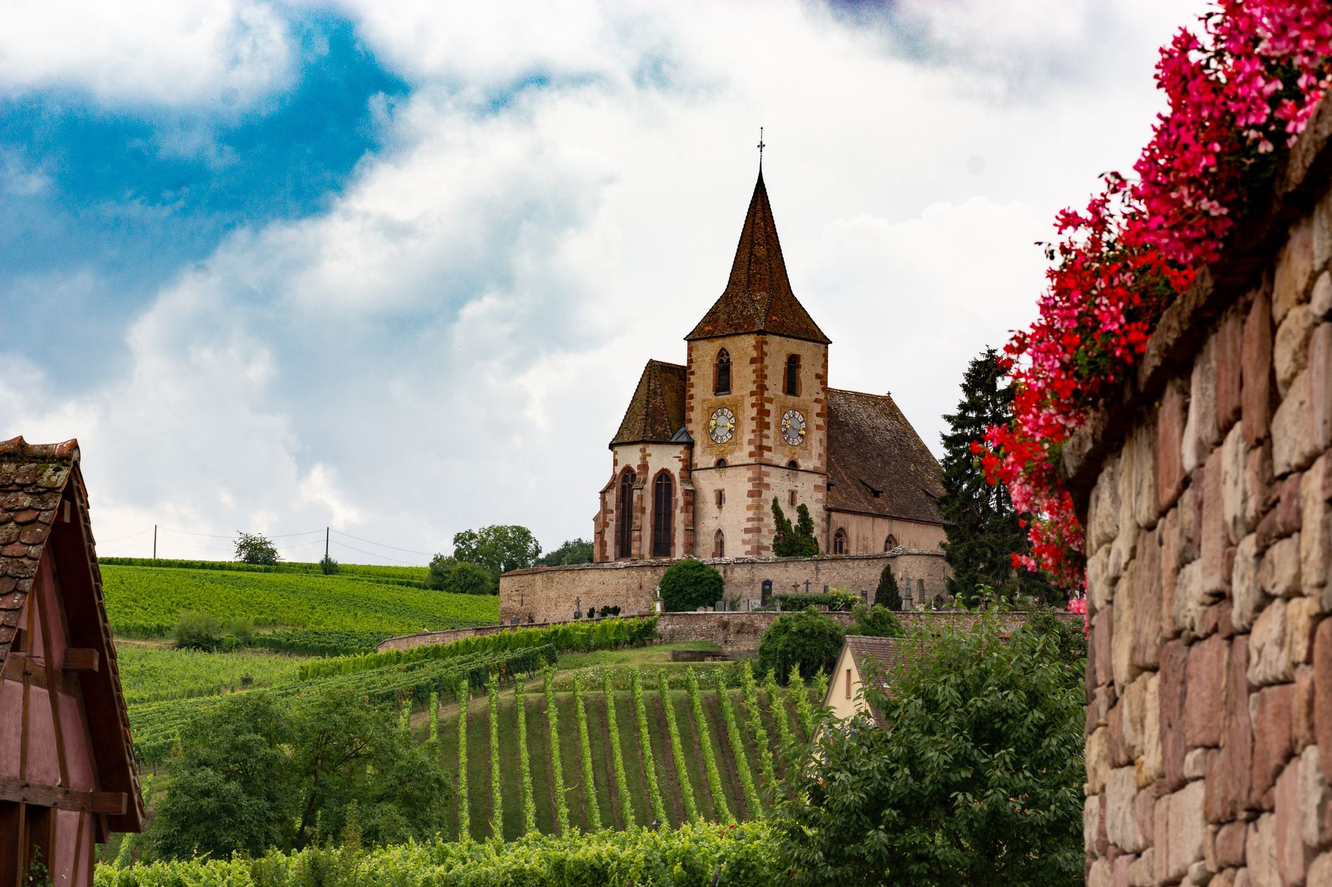 Église pittoresque entourée de vignobles luxuriants à Ribeauvillé, Grand Est, France