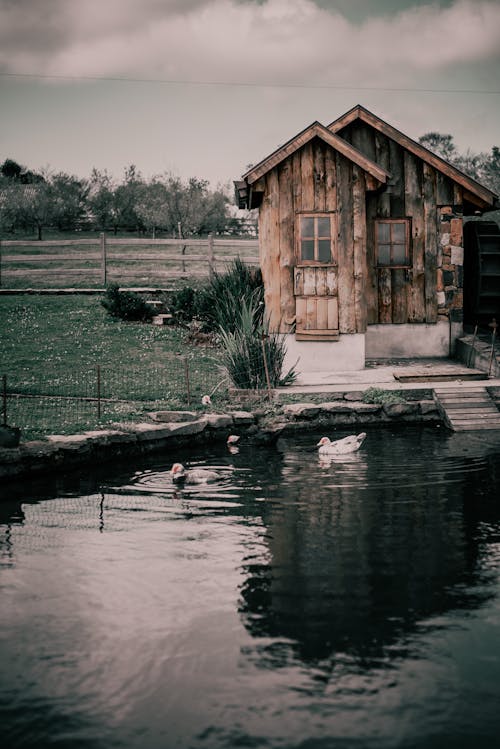 Tiny Wooden Shed on Lake Shore by Fence