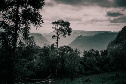 Free A serene mountain landscape with lush forest and a cloudy sky, captured in a muted tone. Stock Photo