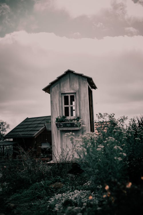 Photo of a Wooden Cabin Standing in a Garden