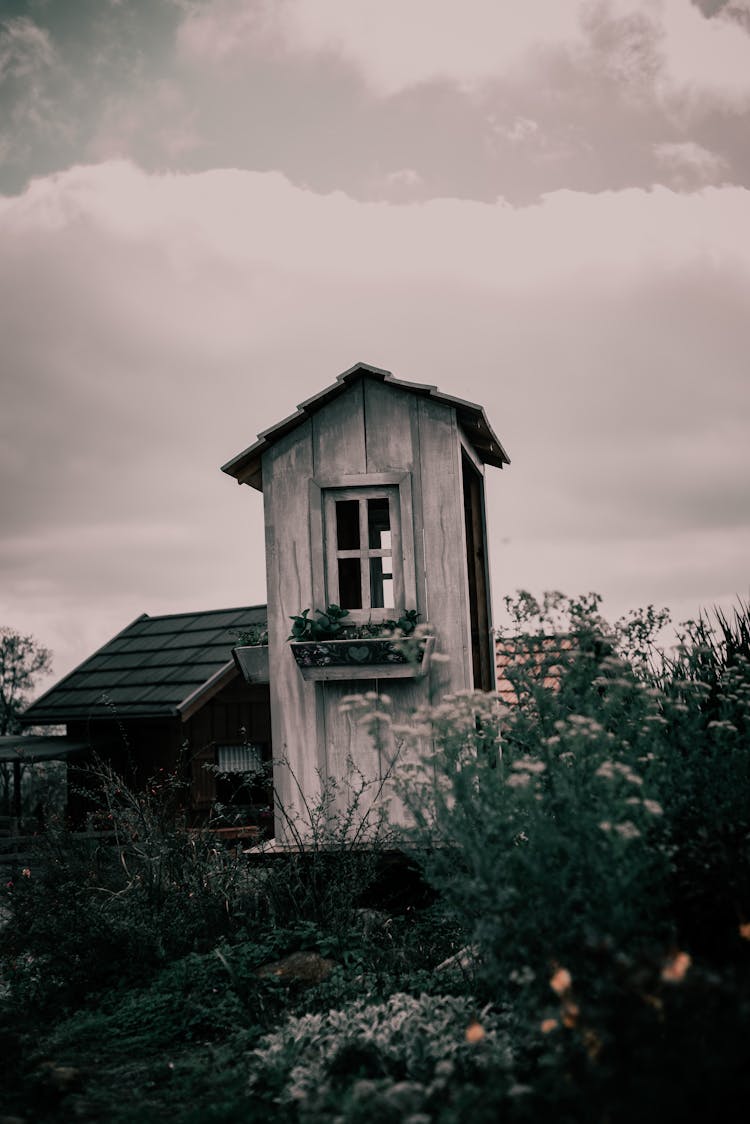 Photo Of A Wooden Cabin Standing In A Garden