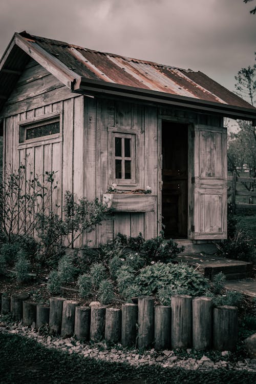 Close-Up Shot of a Wooden House with an Open Door near Plants