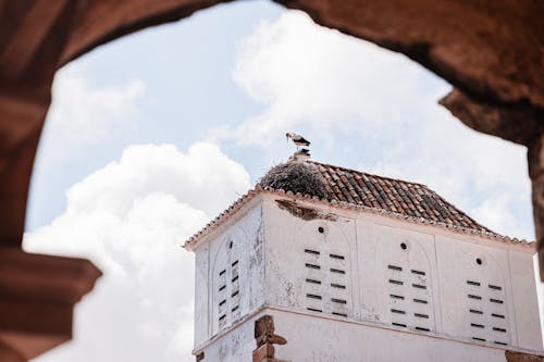ポルトガル, ルーフ, 伝統的の無料の写真素材