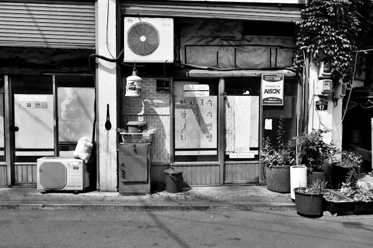 Plants Outdoors Street Shop