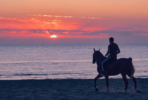 Man Riding a Horse on the Beach during Sunset
