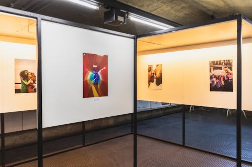 Imagine de stoc gratuită din artă, artă modernă, expoziție