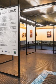 Modern art gallery showcasing exhibits with detailed information board.
