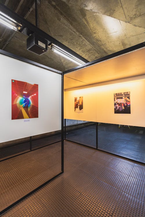 Photographic Exhibition in a Gallery with Concrete Ceiling