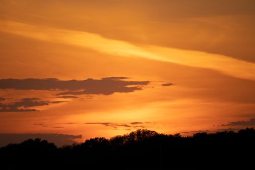 Free Beautiful sunset with orange sky and silhouetted trees in Minnesota, USA. Stock Photo
