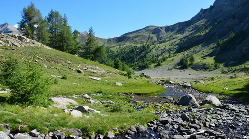 Free A picturesque mountain valley with lush greenery and a serene stream flowing through rocky terrain in summer. Stock Photo