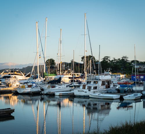 Recreational Boats Reflecting in a Pond