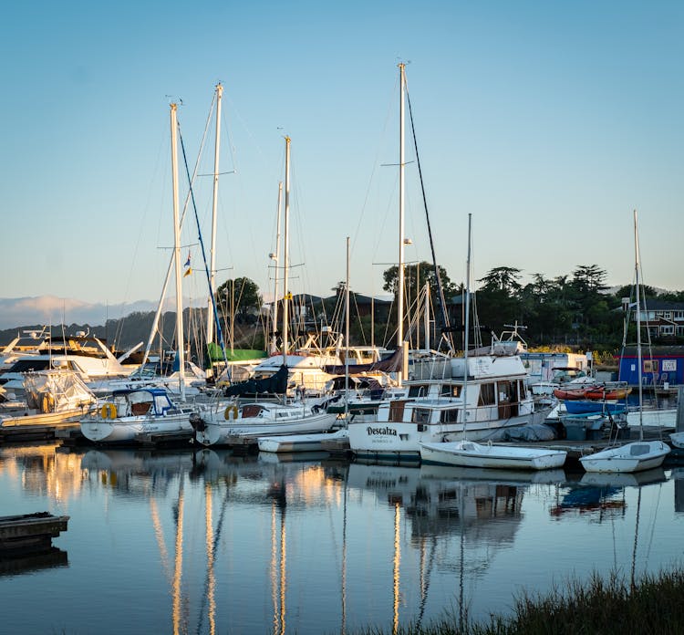 Recreational Boats Reflecting In A Pond