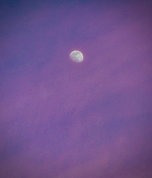 Photo of a Purple Sky and Moon