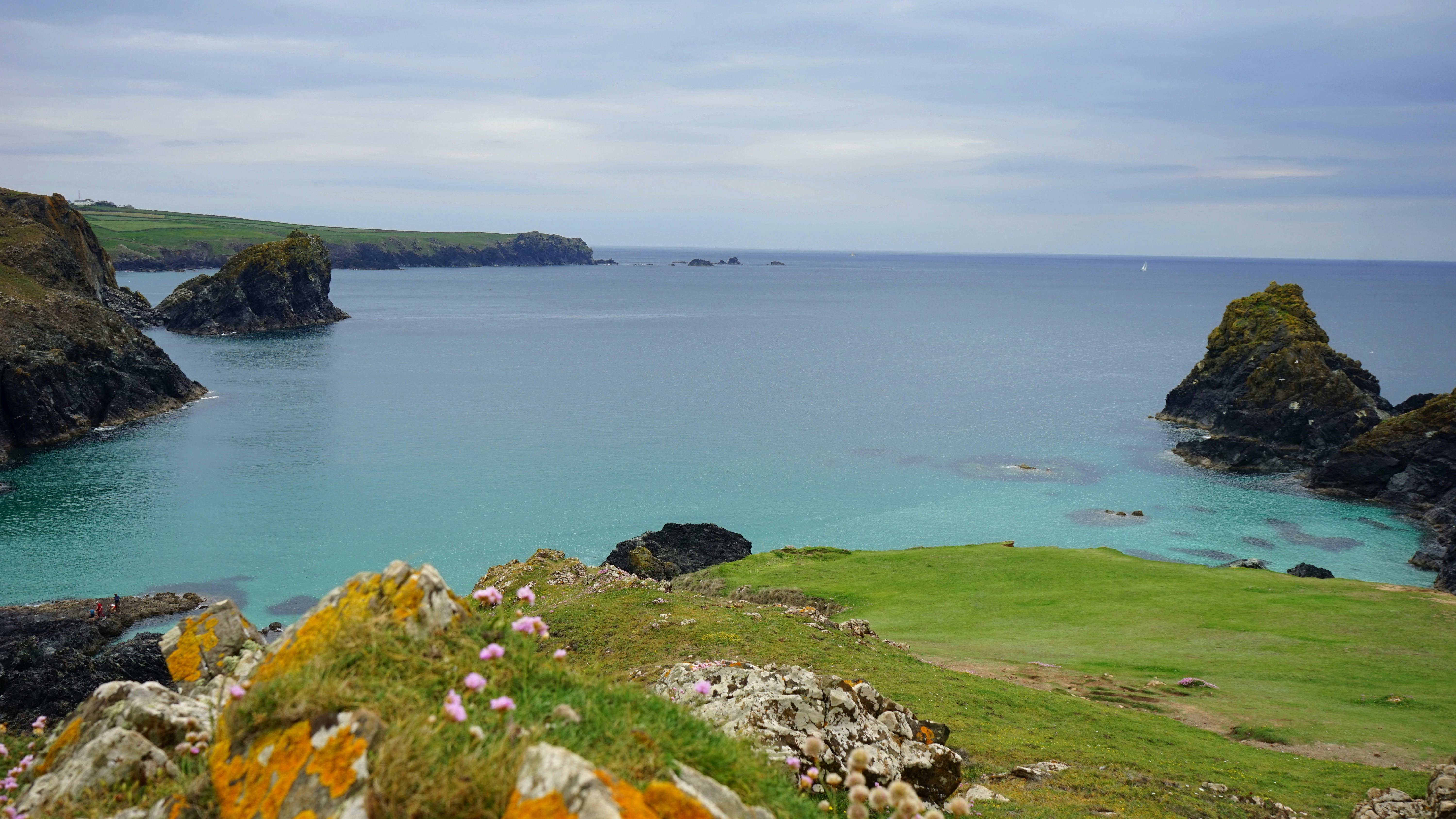 Cliff With Grass Next to Body of Water · Free Stock Photo