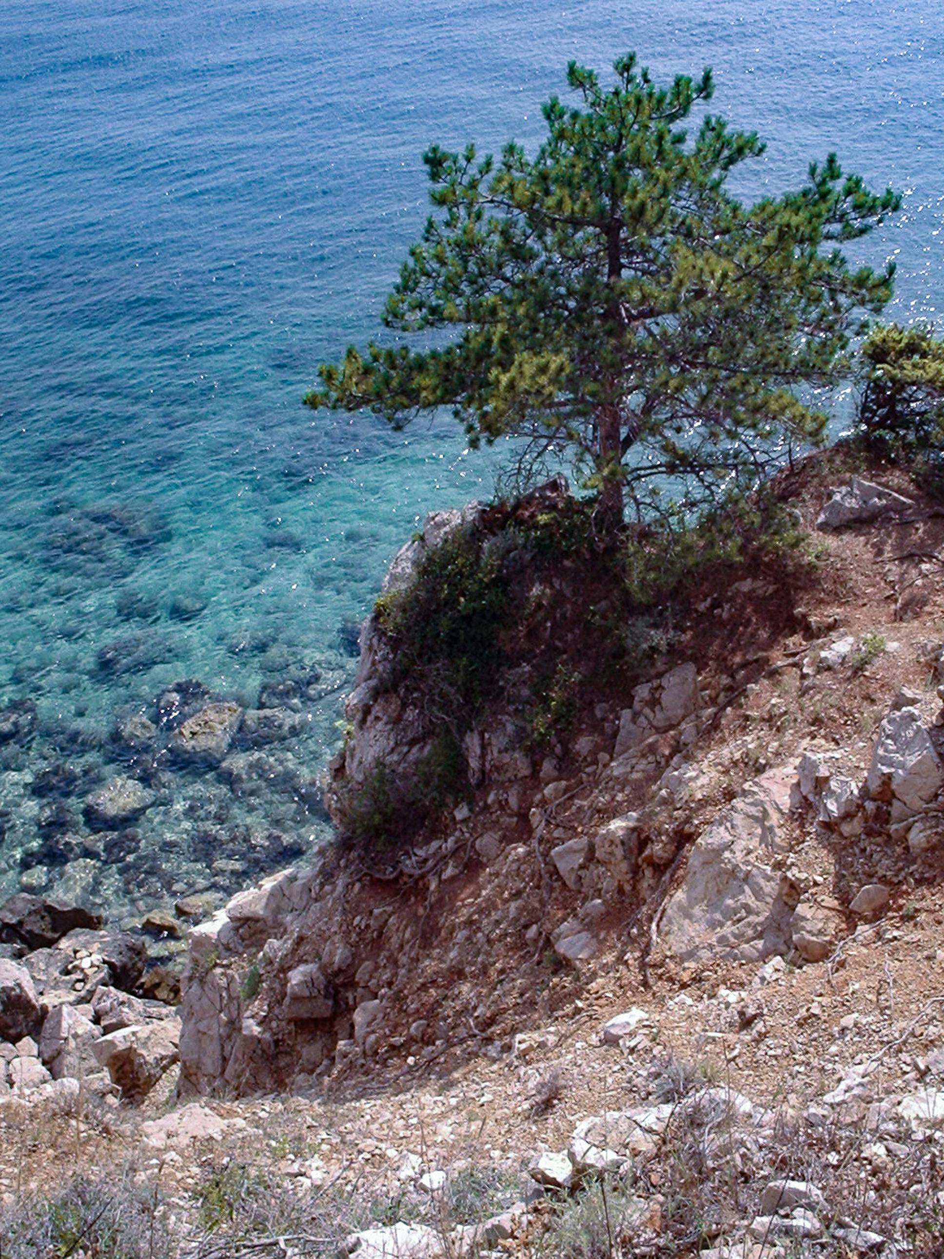  by Sun Pixel Photography