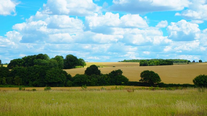 Rolling English countryside with fields and trees in Hertfordshire