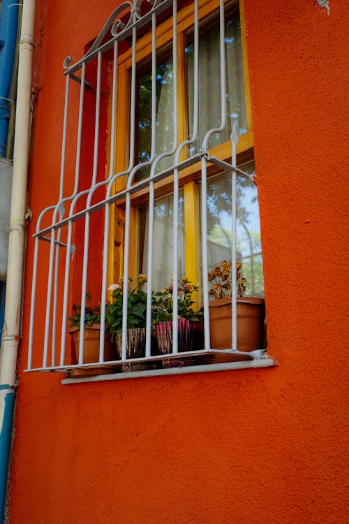 Free Flowers Pots Beside the Glass Window Stock Photo