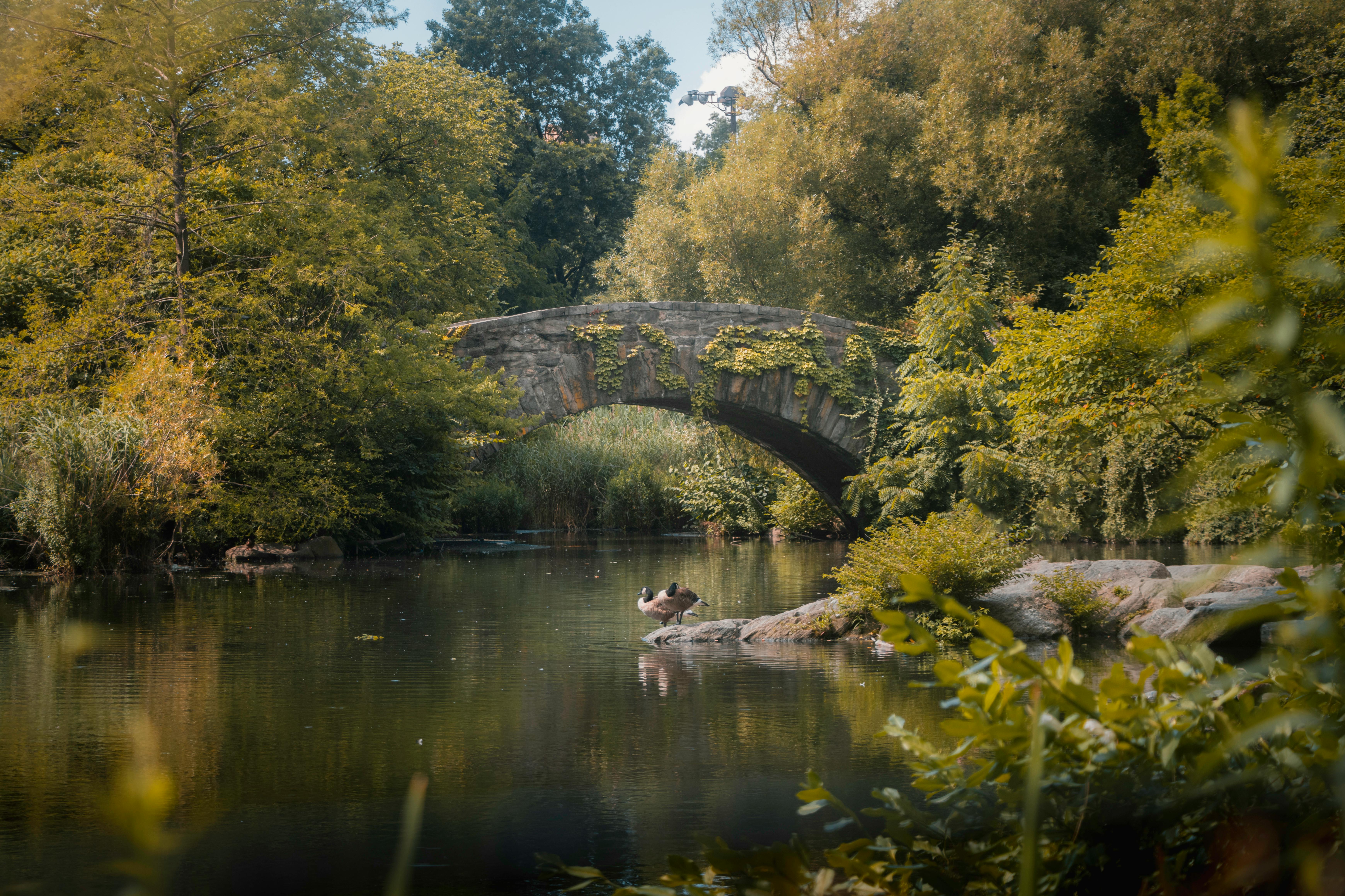 Beautiful view of Gapstow Bridge over a tranquil lake in Central Park, New York City