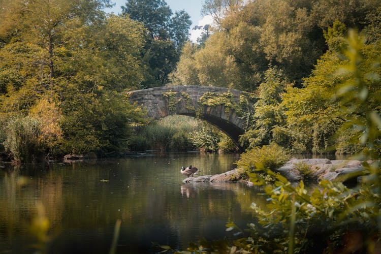 Gapstow Bridge, New York, USA