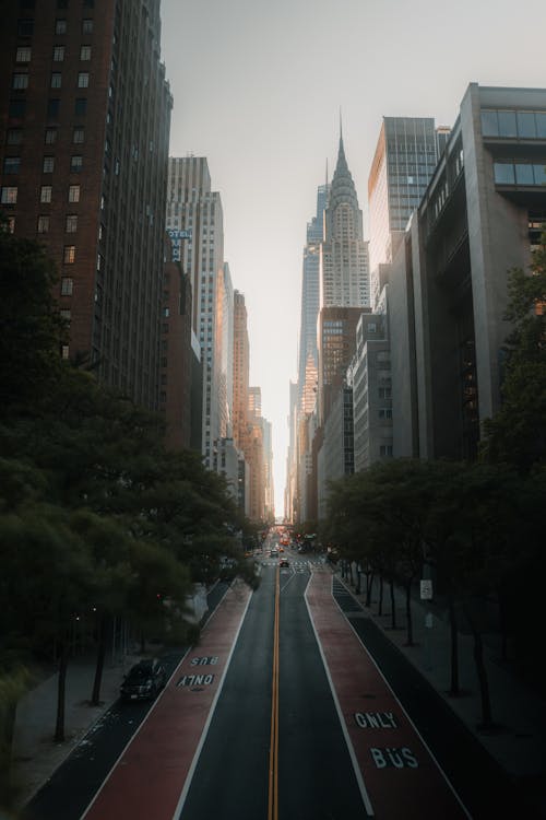 Symmetrical View of a Street in New York City