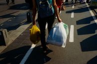 Person walking on a sidewalk, carrying plastic bags on a sunny day. High-angle view.