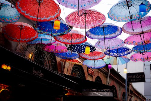 Free Colorful Umbrellas Hanging on Street Stock Photo
