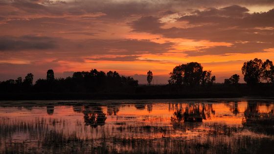 Loktak Lake