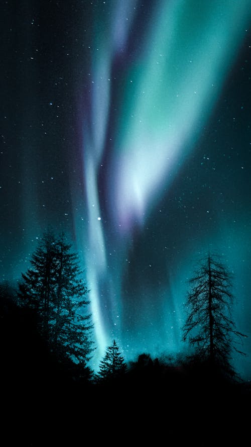 Beautiful Aurora Borealis in the Sky