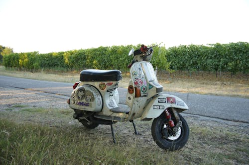 A White and Black Moped Parked Near Vineyard