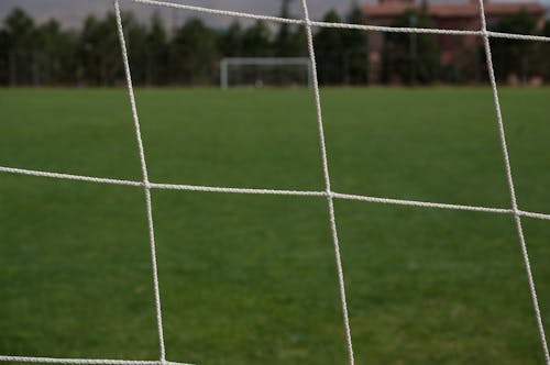 Fotos de stock gratuitas de campo verde, césped, fútbol