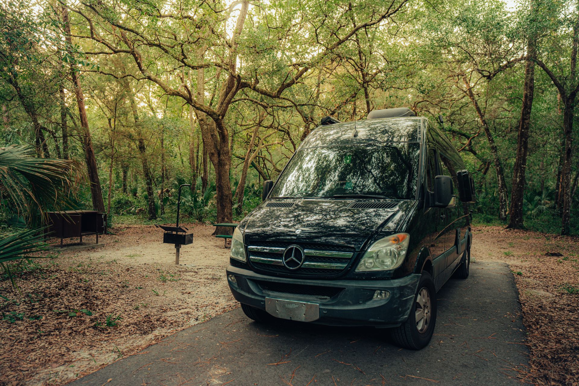 Black Mercedes-Benz Sprinter van parked on a forest pathway — private luxury transfer