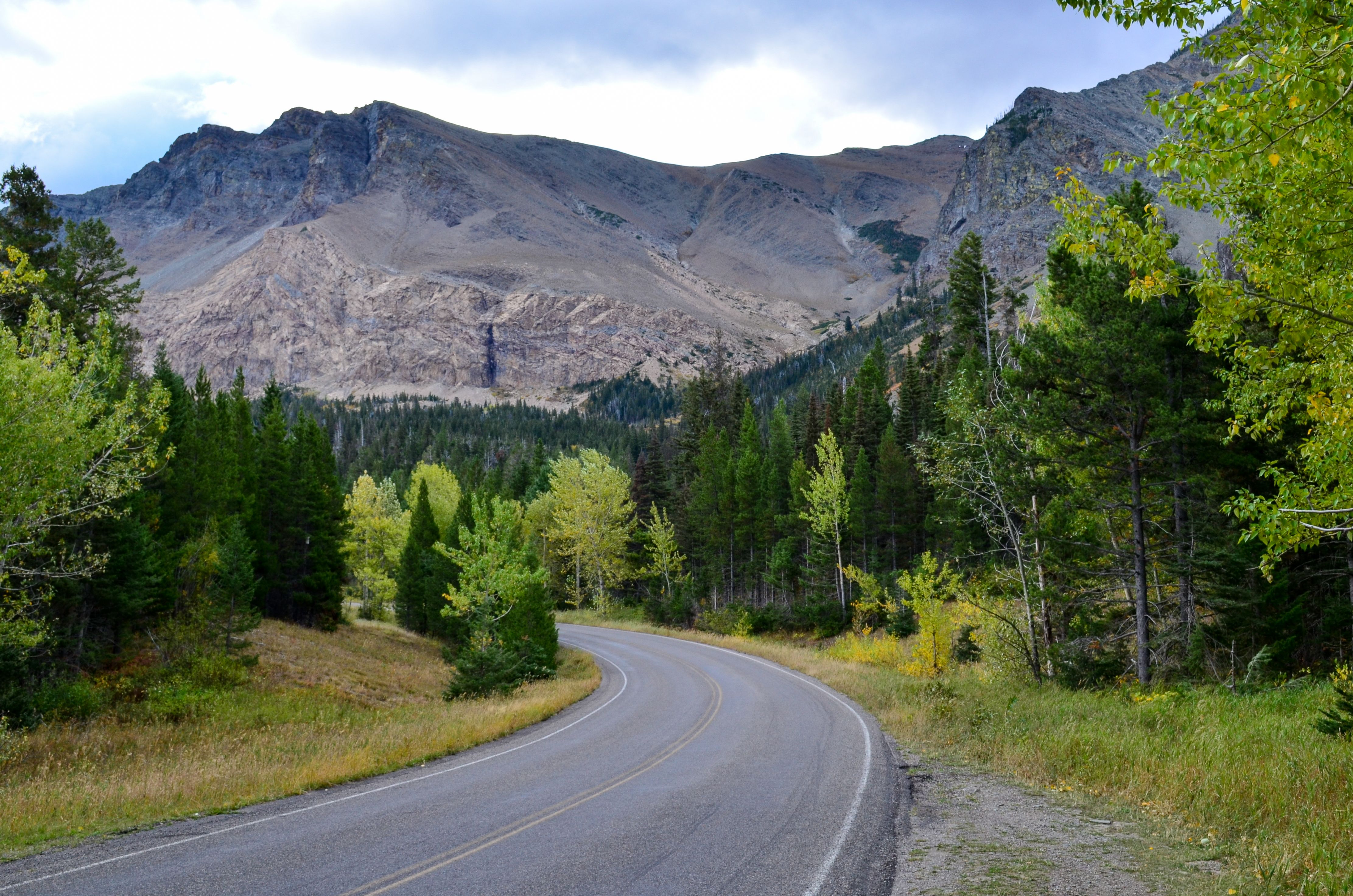A winding road surrounded by lush trees leads to a stunning mountain range, perfect for nature enthusiasts.